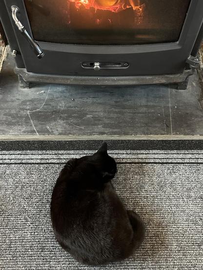 Miss Cinnamon the small black shorthair cat is curled up on a grey mat in front of a wood burner. An orange fire can be seen through the glass.